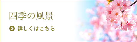 「四季の風景」詳しくはこちら